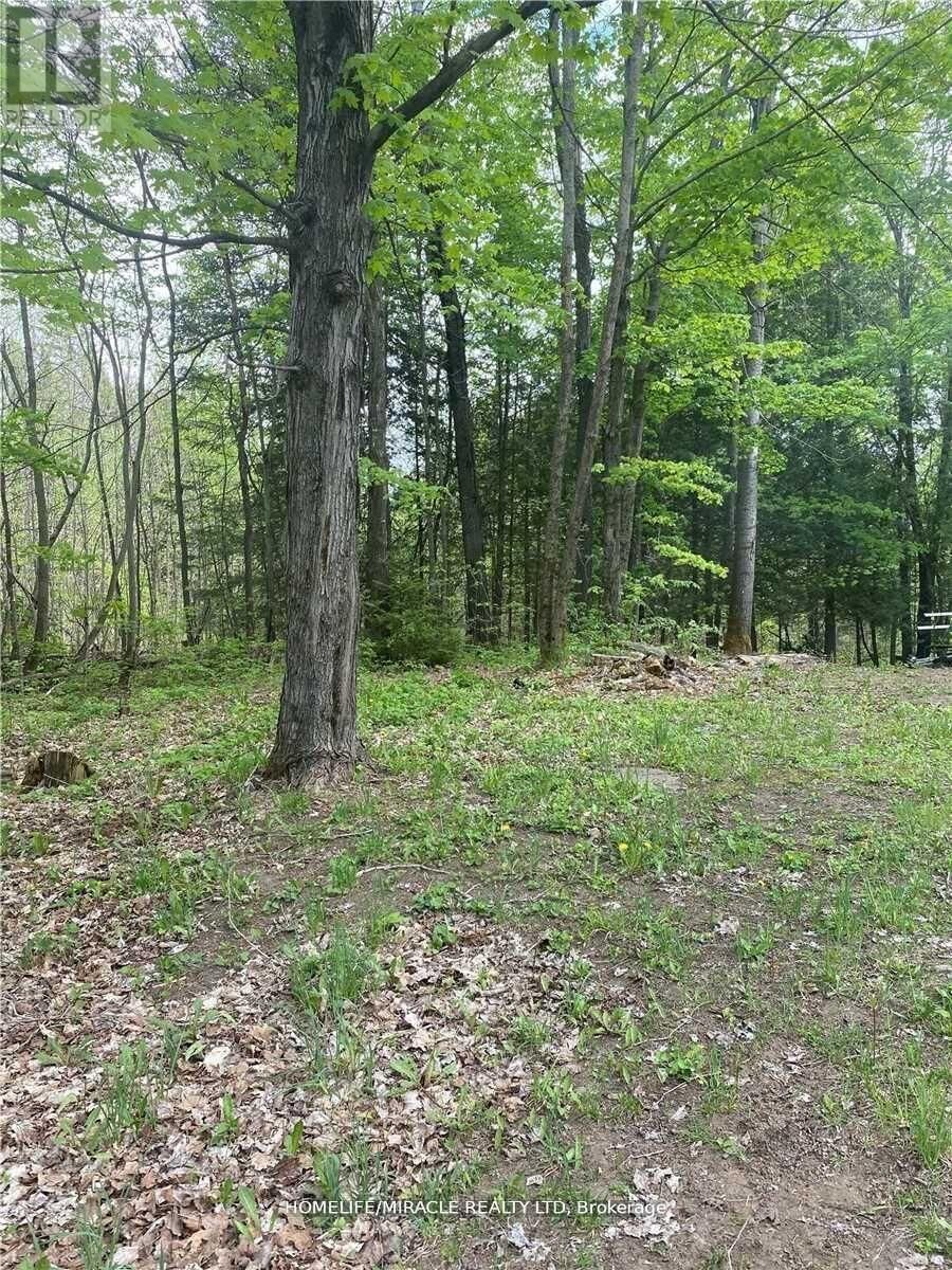 Property Photo:  3460 Harburn Road  ON K0M 1M0 