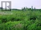 Property Photo:  2-4 Snows Pond Road  NL A0A 3C0 