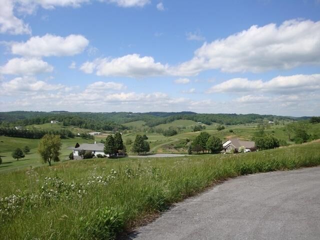 Property Photo: Birdie Drive WV 24963