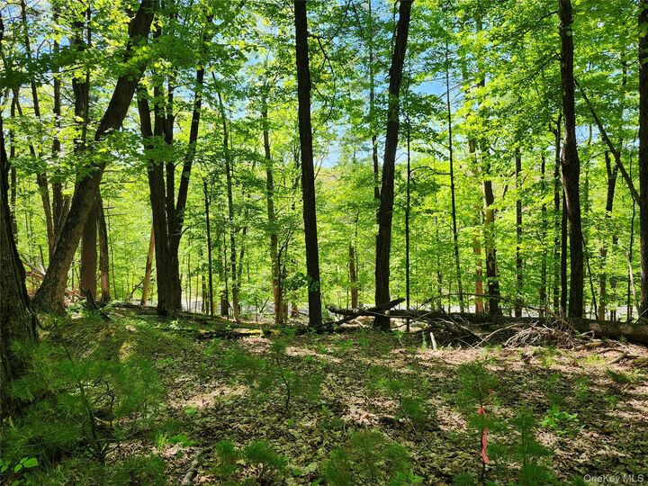 Property Photo:  Tbd Upper Samsonville Road  NY 12461 