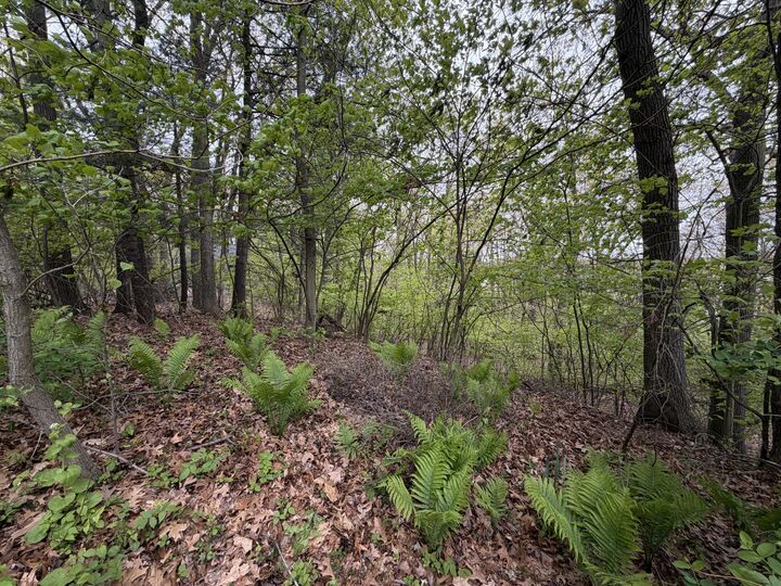 Property Photo:  3114 Red Oak Drive  MI 49453 