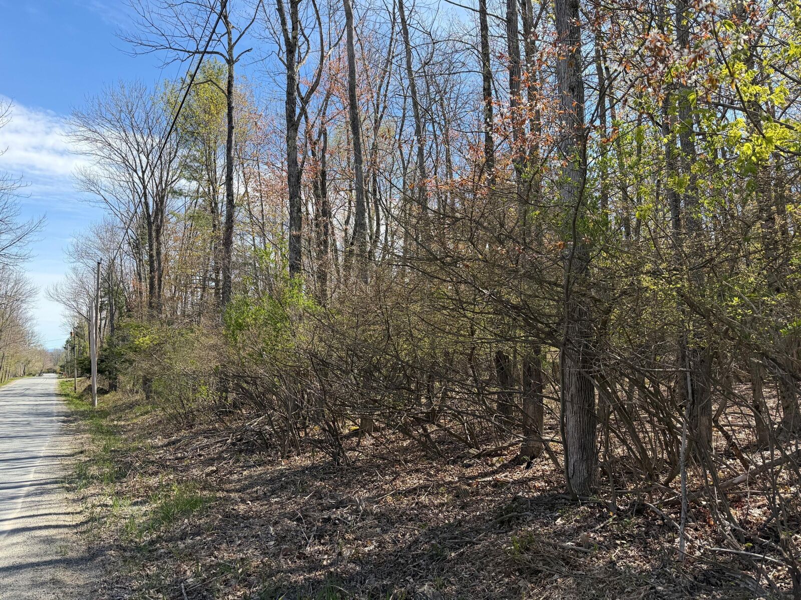 Property Photo:  Lot 74-D Copeland Hill Road  ME 04429 
