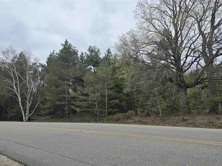 Property Photo:  4936 Johnston Hill  MI 49740 