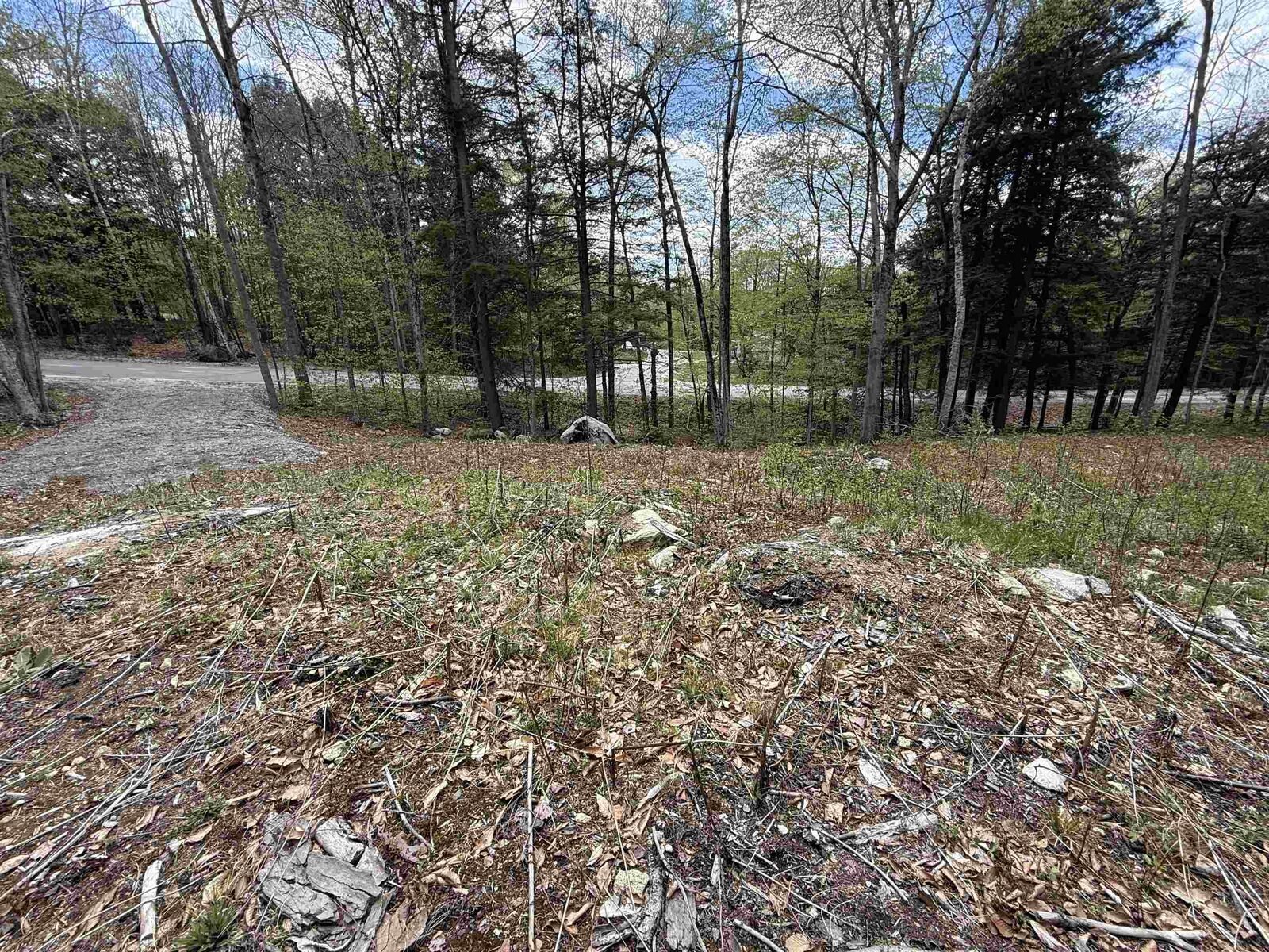 Property Photo:  104 Ramblewood Circle  NH 03255 