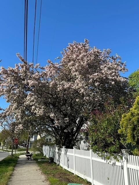Property Photo: 316 Waseca Avenue RI 02806