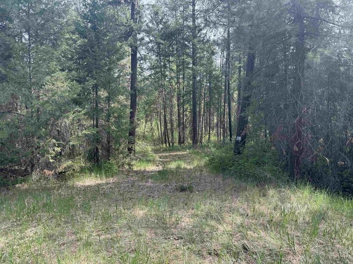 Property Photo:  67 First Thought Loop  WA 99146 