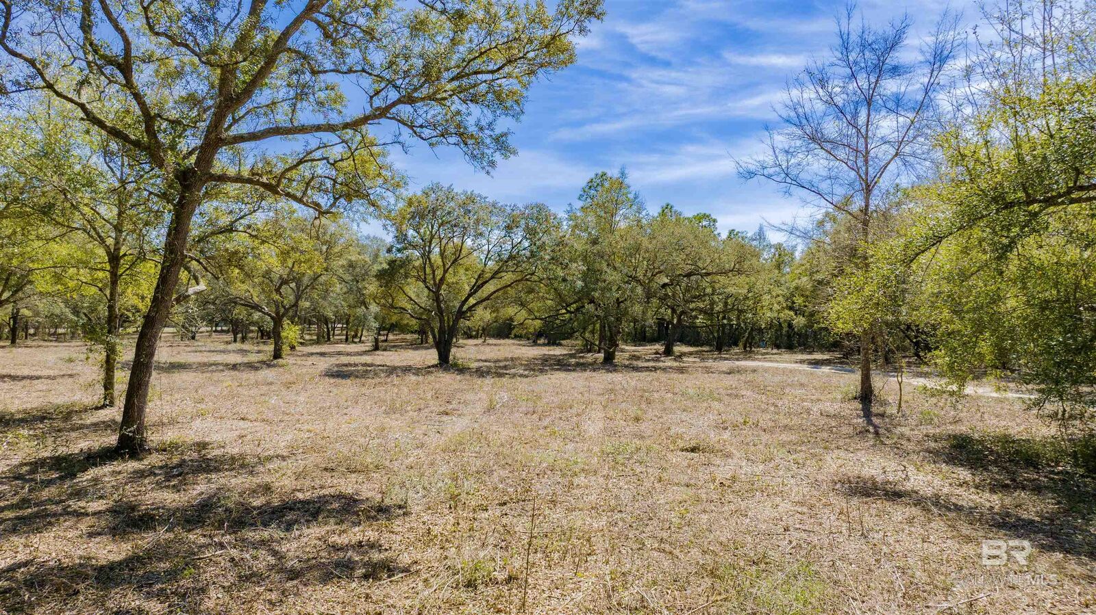Property Photo:  00 County Road 99  AL 36549 