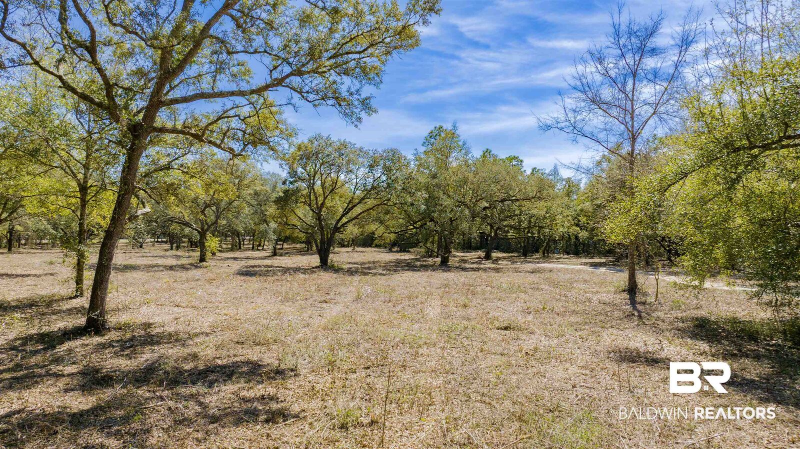 Property Photo:  00 County Road 99  AL 36549 