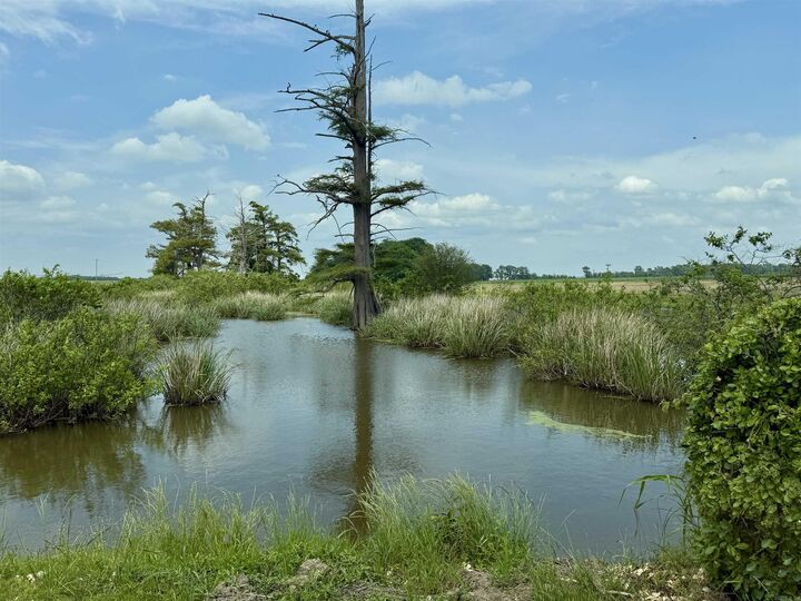 Property Photo:  6249 Highway 44  AR 72342 
