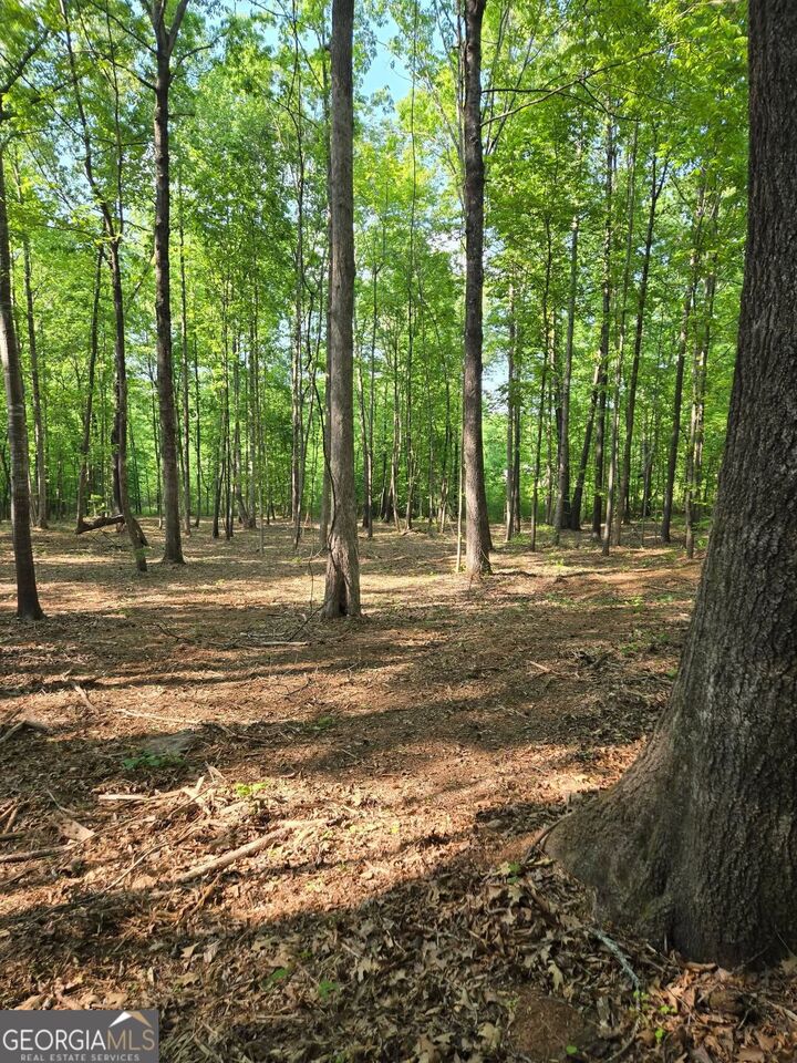 Property Photo:  135 Lakeshore Drive  GA 31024 