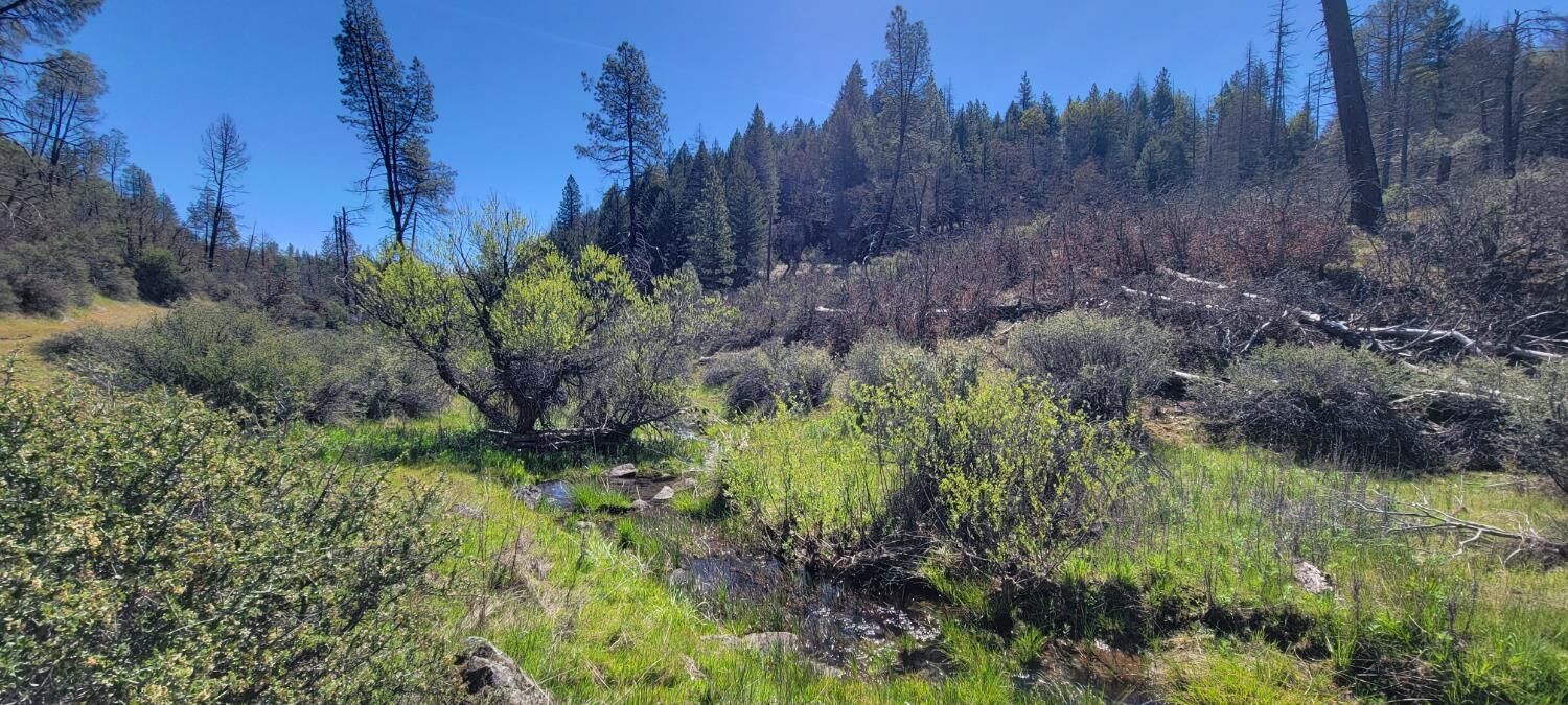 Property Photo: 2400 White Rock Road CA 96076