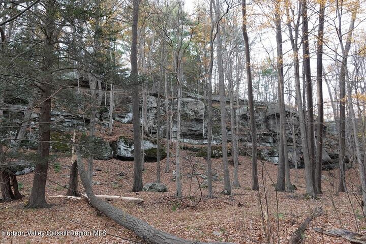Property Photo:  736 Manorville  NY 12477 
