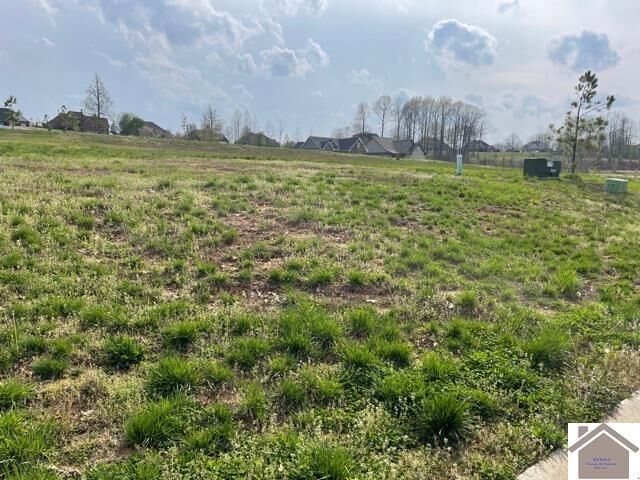 Property Photo:  175 Low Ridge Lane  KY 42003 