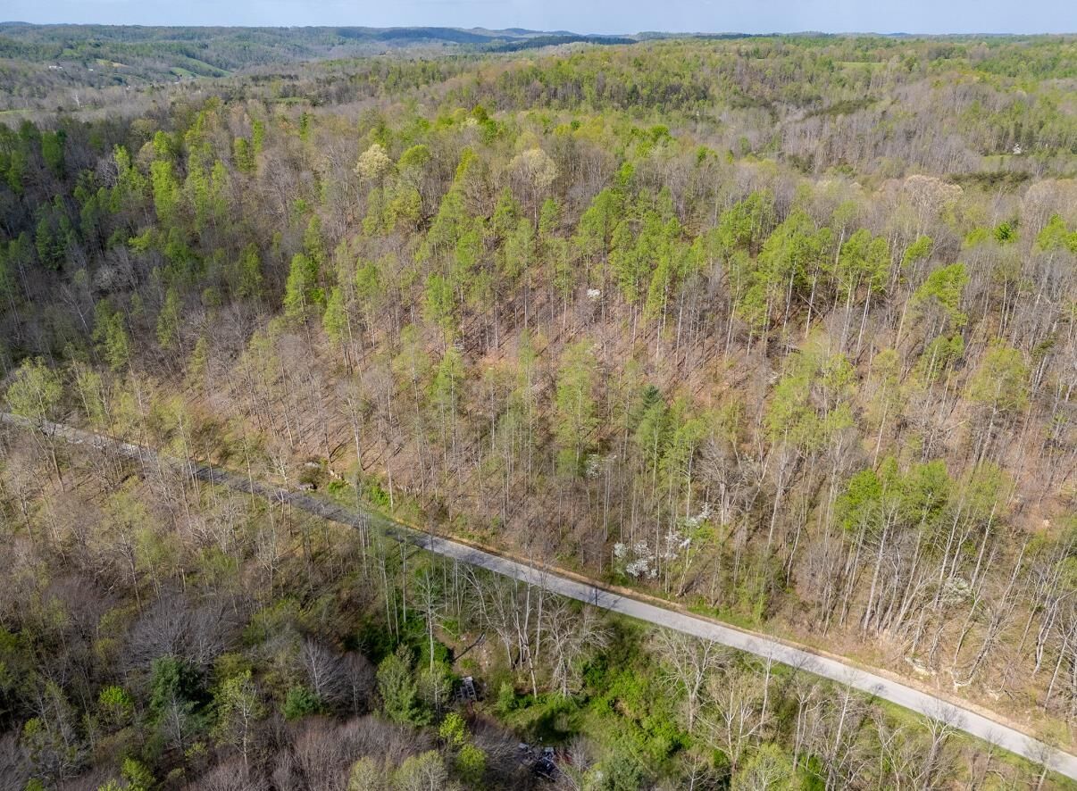 Property Photo:  0 Brinegar Road  KY 40351 