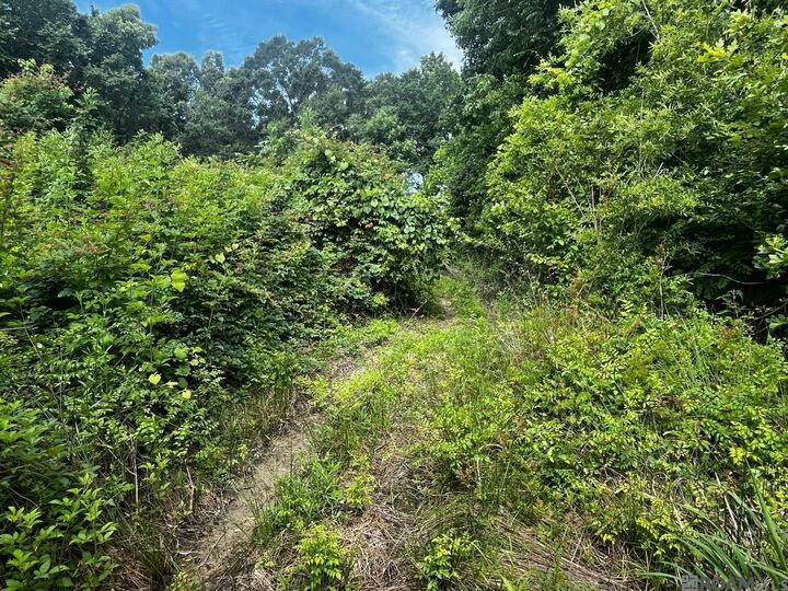 Property Photo:  18247 Eric Dr  LA 70791 