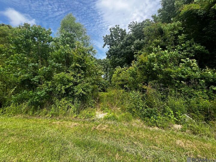Property Photo: 18247 Eric Dr LA 70791