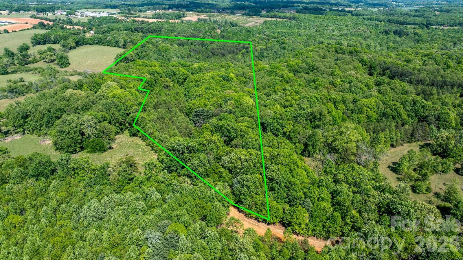 Property Photo:  256 Long Leaf Pine Drive  NC 28636 