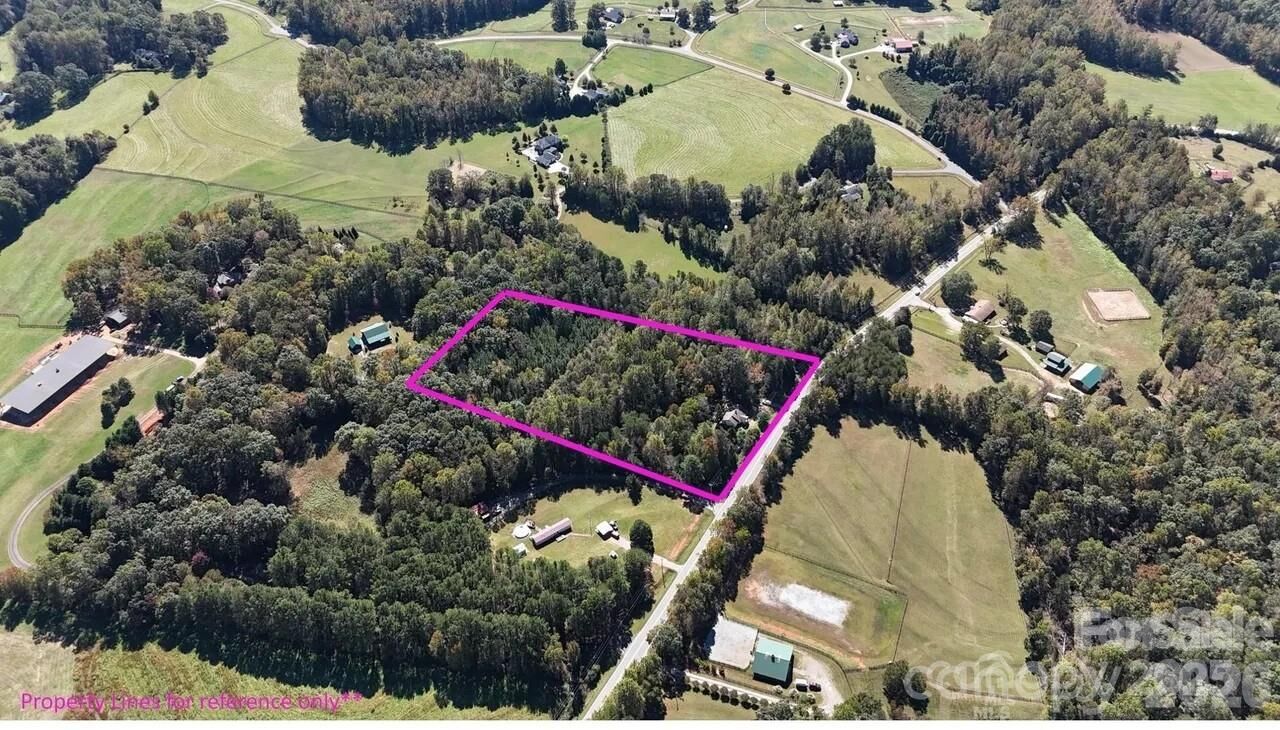 Property Photo:  1491 Landrum Road  NC 28722 