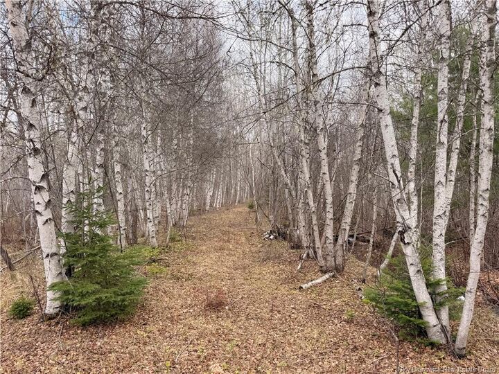 Lots McLaughlin Road — photo 1