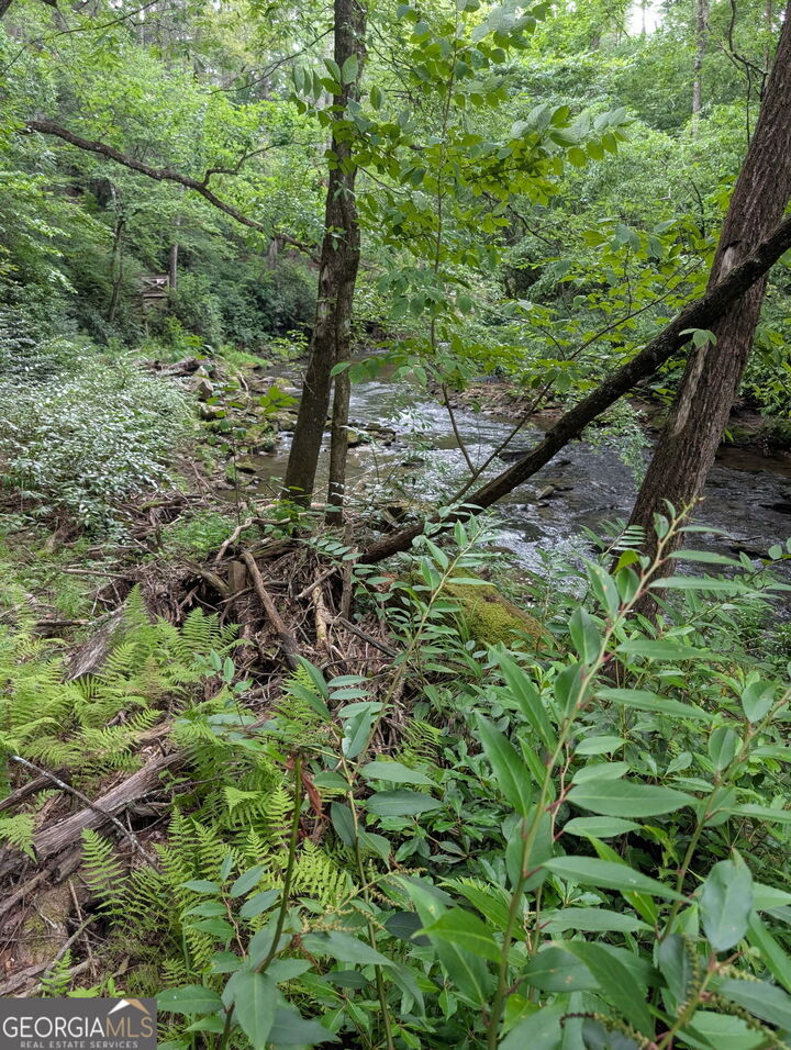Property Photo:  Lot 32 Byers Road  GA 30512 
