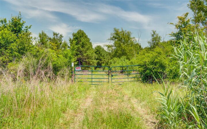 Property Photo:  7443 County Road 302  TX 77363 