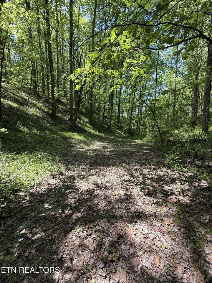 Property Photo: 2110 Duck Pond Lane TN 37876