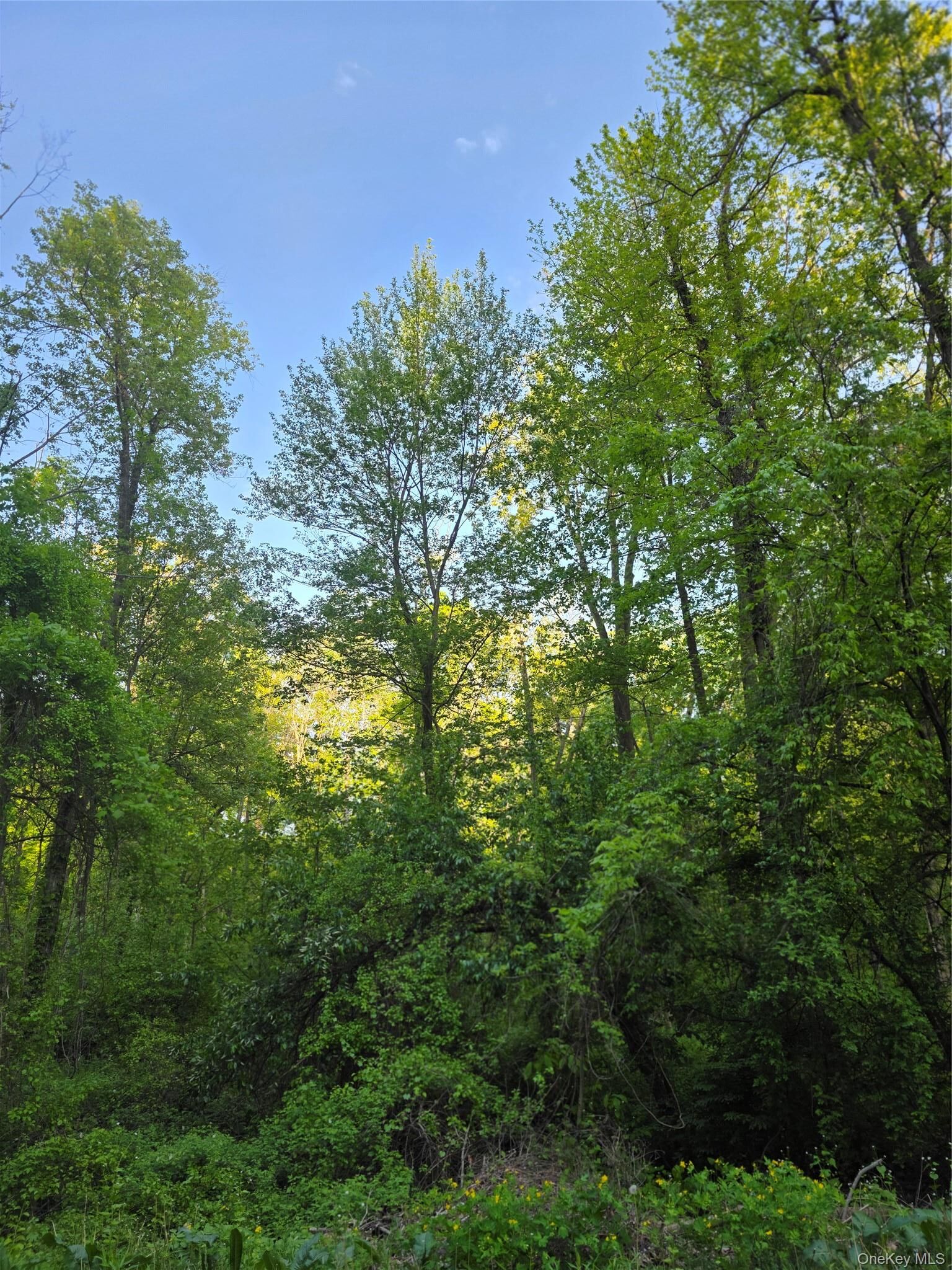Property Photo:  122 Archer Rd  NY 10541 