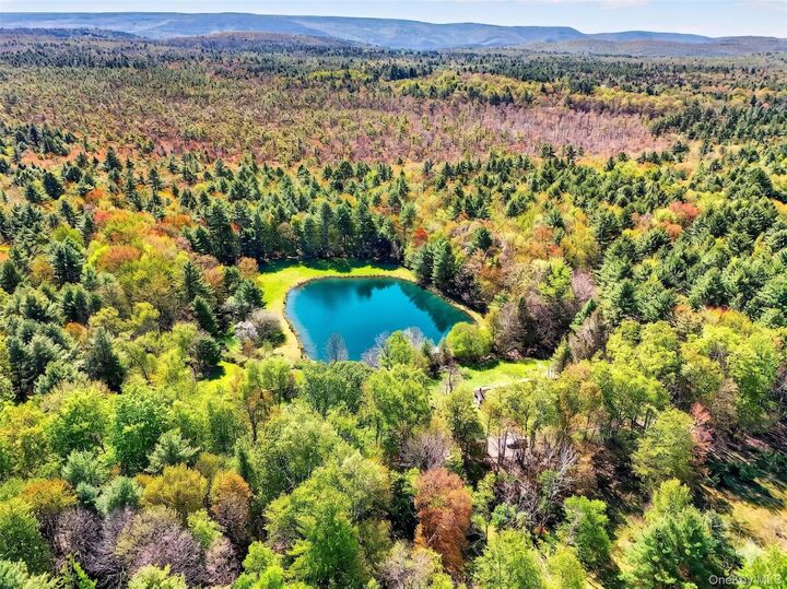 Property Photo:  Spook Hole Road  NY 12428 