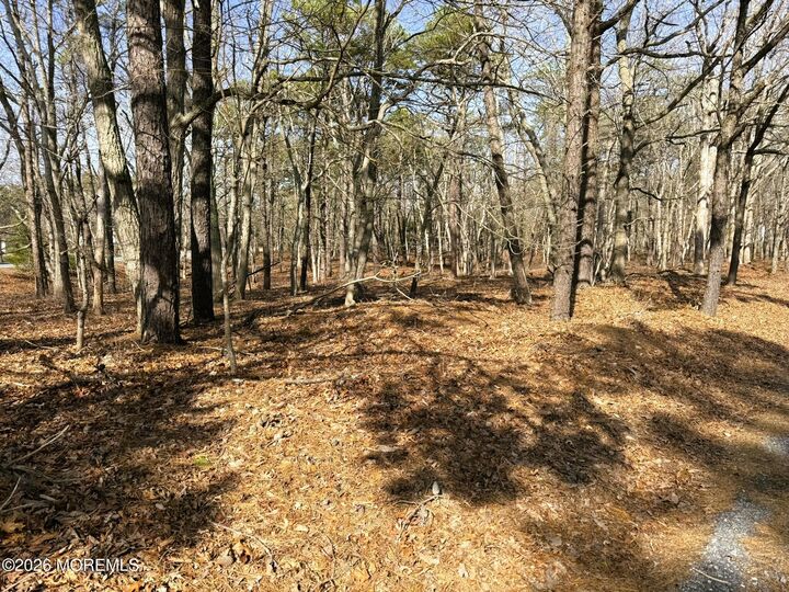 Property Photo: 17 Pinewood Drive NJ 08087