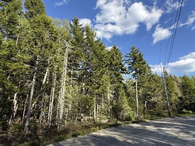Property Photo:  Lot 13 Pidgeon Point Road  ME 04691 