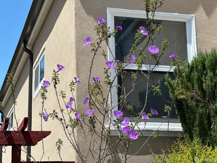 Property Photo: 254 La Cruz Avenue CA 94030