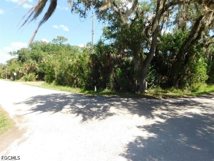 Property Photo:  14971 Duke Highway  FL 33920 