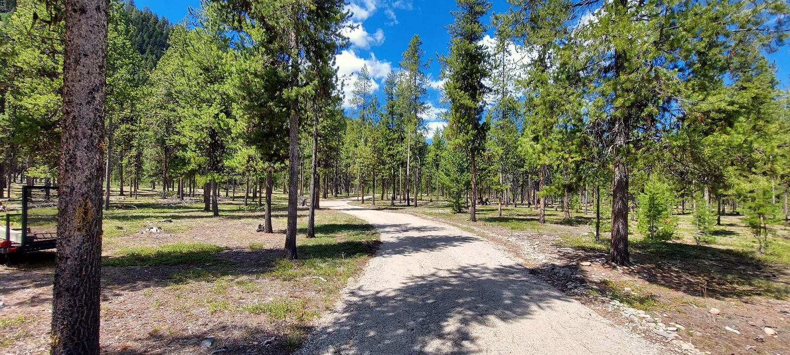 Property Photo: Nhn (Parcel C) Deer Walk Way MT 59829