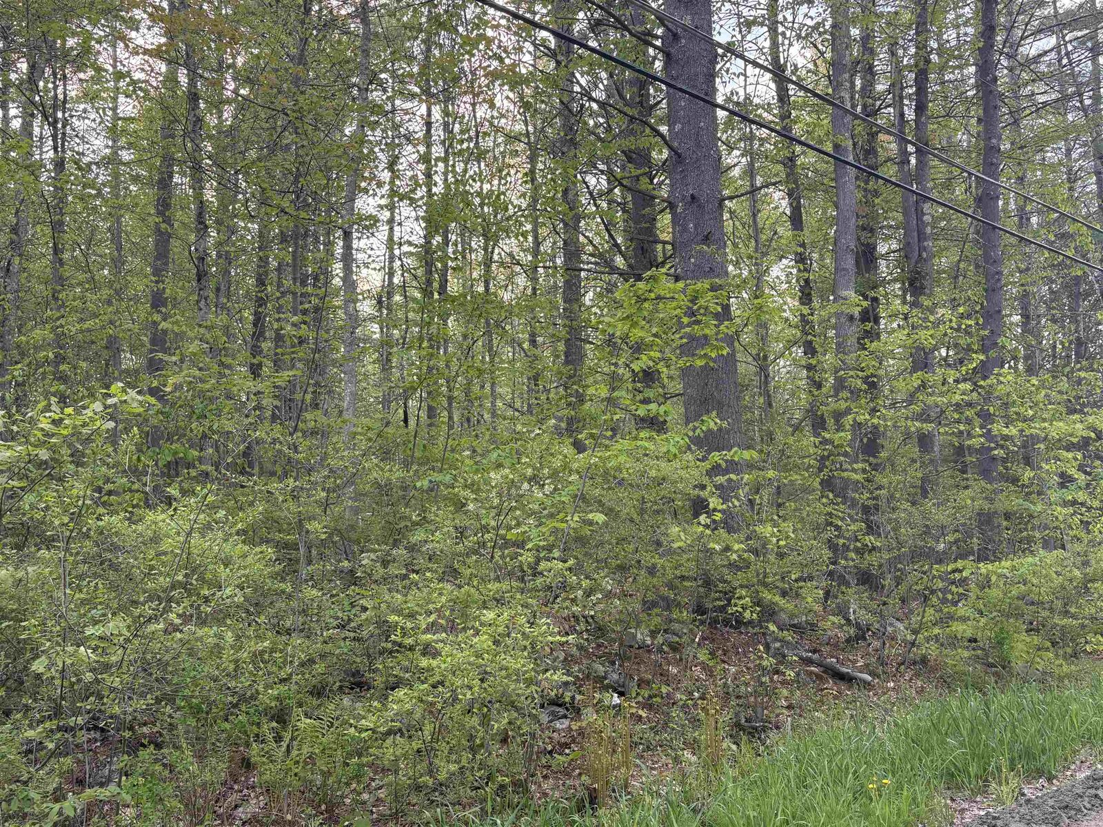Property Photo: Lot 80 Currier Road NH 03034