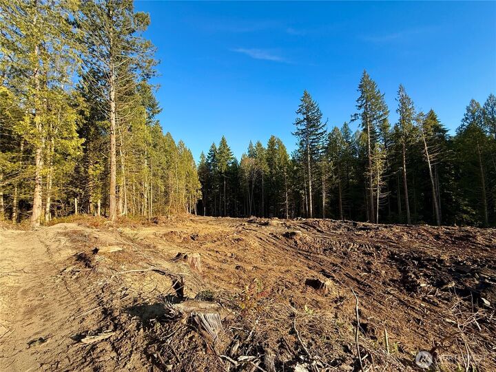 Property Photo:  105 E Lakewood Drive  WA 98528 