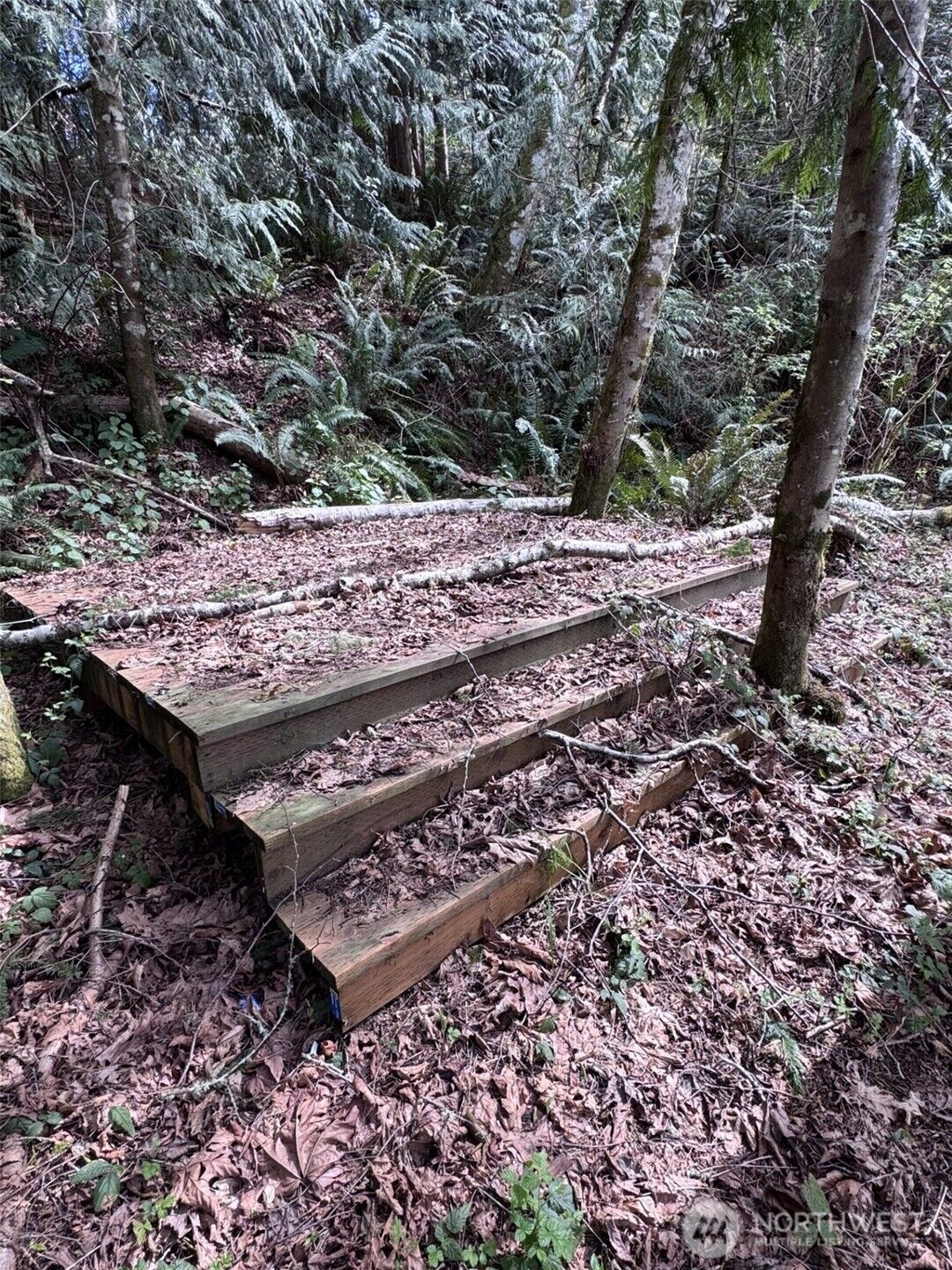 Property Photo: 137 Xx SW Madrona Road WA 98070