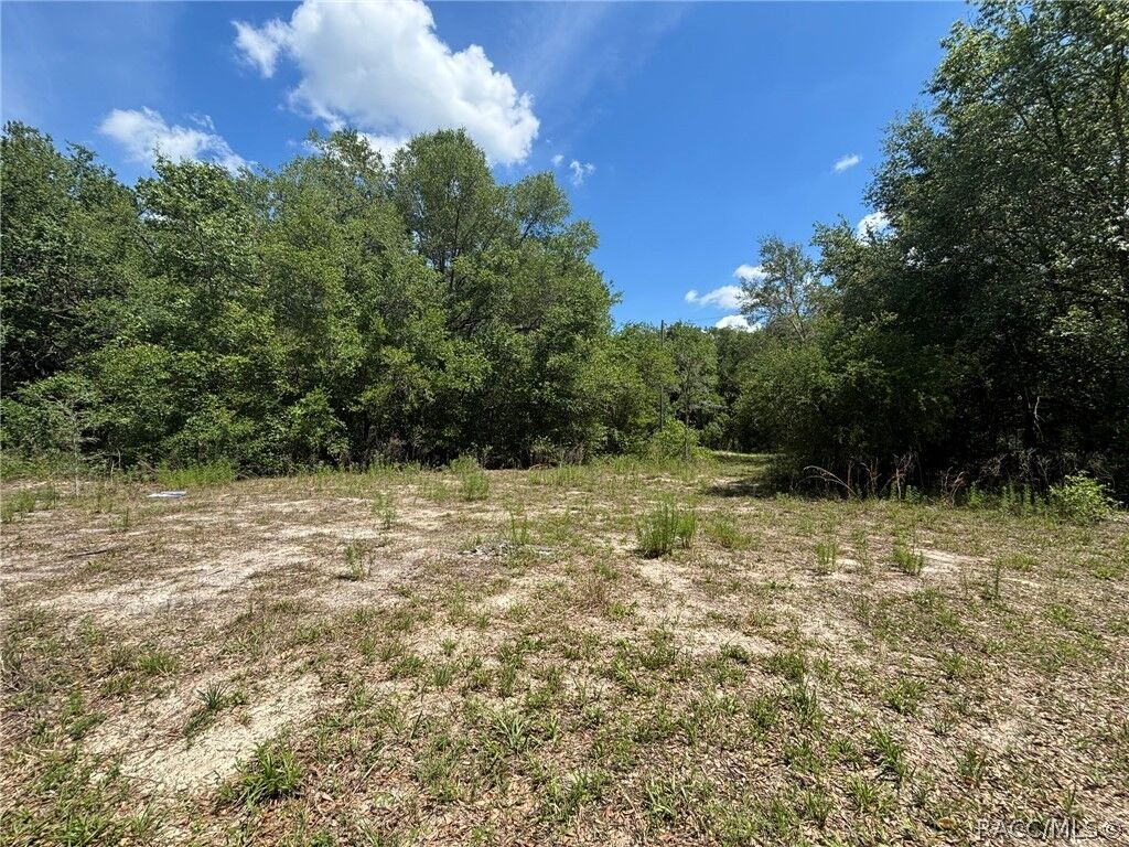 Property Photo:  2608 Polk Street  FL 34453 