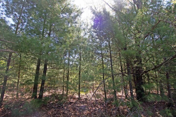 Property Photo:  Lot20 Timber Trail  WI 53588 