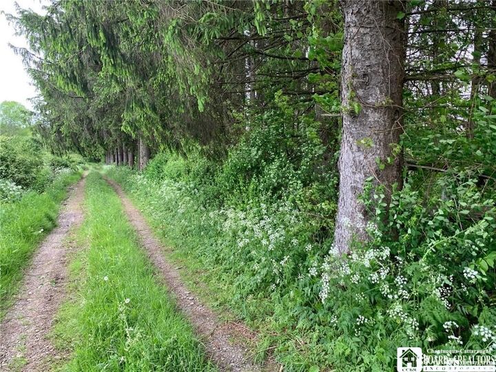 Property Photo:  905 Waterman Road  NY 14747 