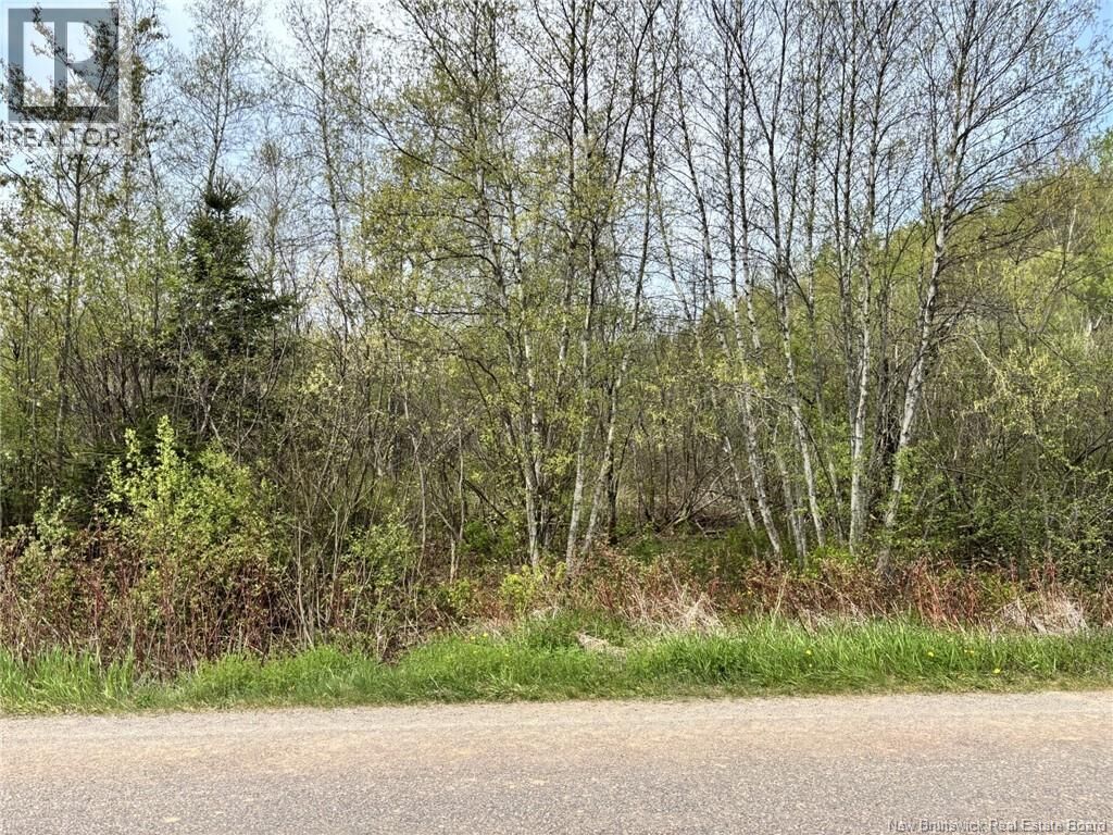 Property Photo:  Lot Blakney Road  NB E4Z 2V1 