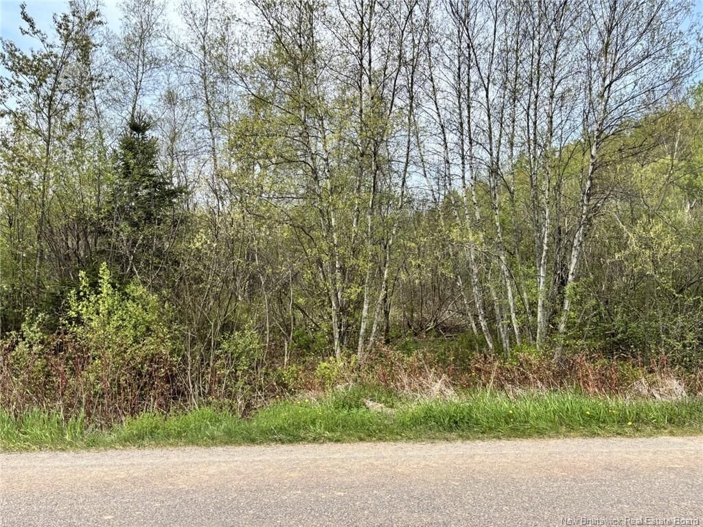 Photo de la propriété:  Lot Blakney Road  NB E4Z 2V1 