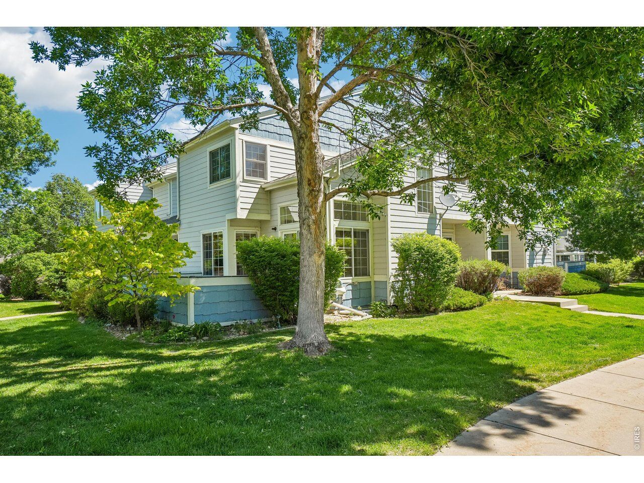 Property Photo:  1419 Red Mountain Dr 41  CO 80504 
