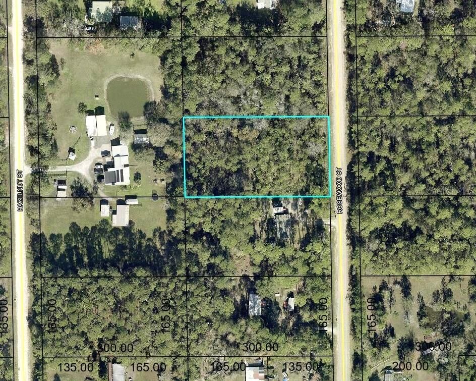 Property Photo:  1352 Rosewood Street  FL 32110 