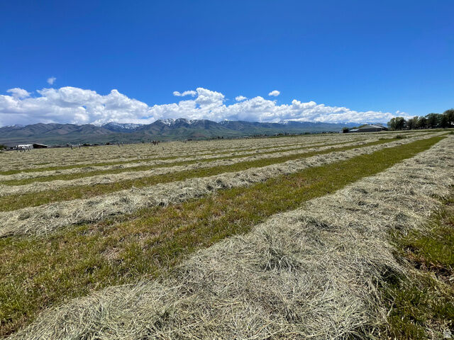 Property Photo:  750 N Main  UT 84320 