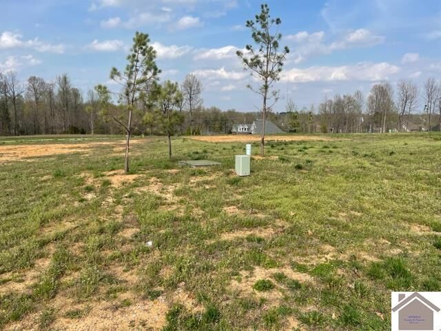 Property Photo: 180 Falling Brook Dr KY 42003