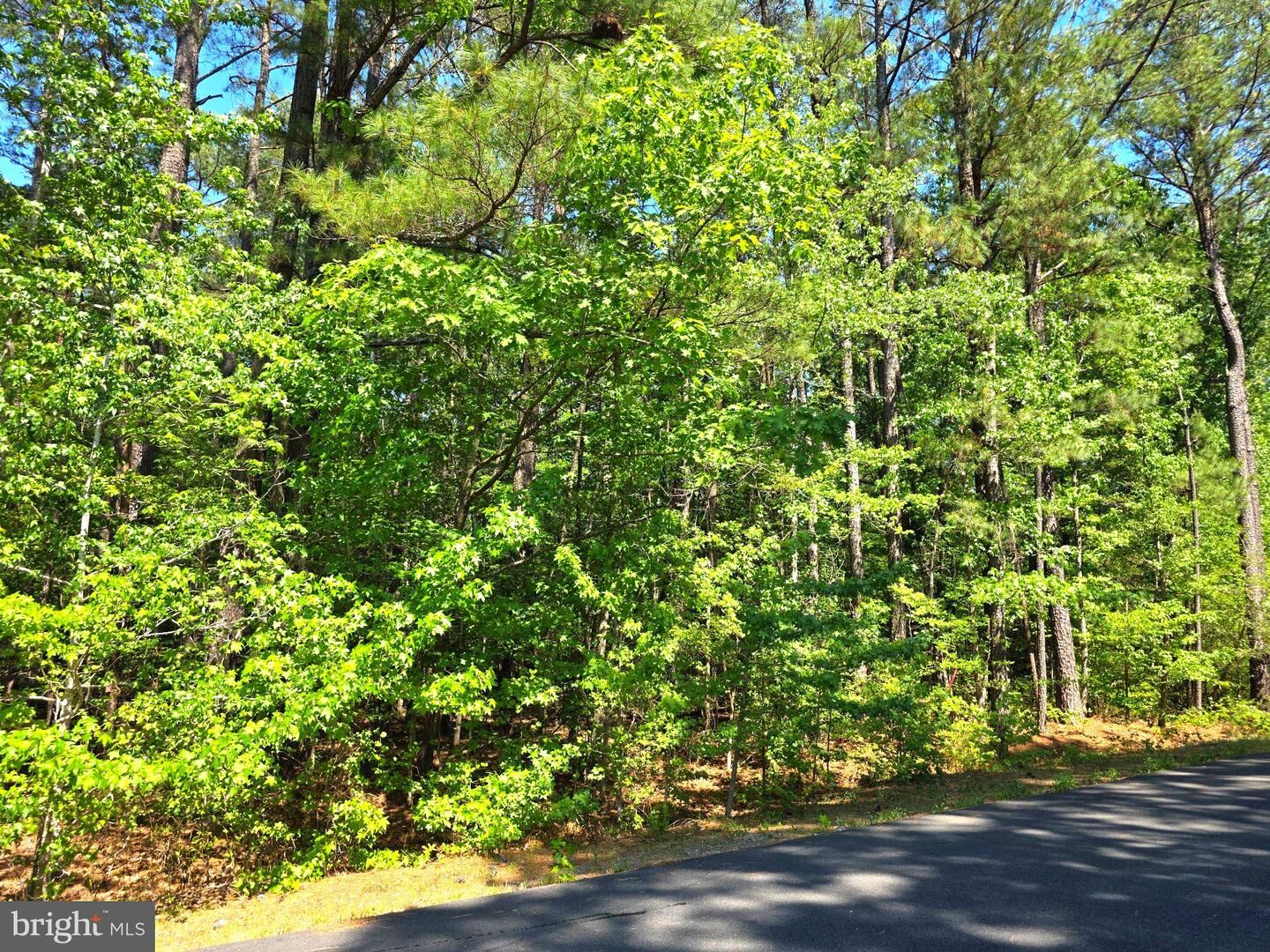 Property Photo:  4 Stafford Cove  VA 22546 