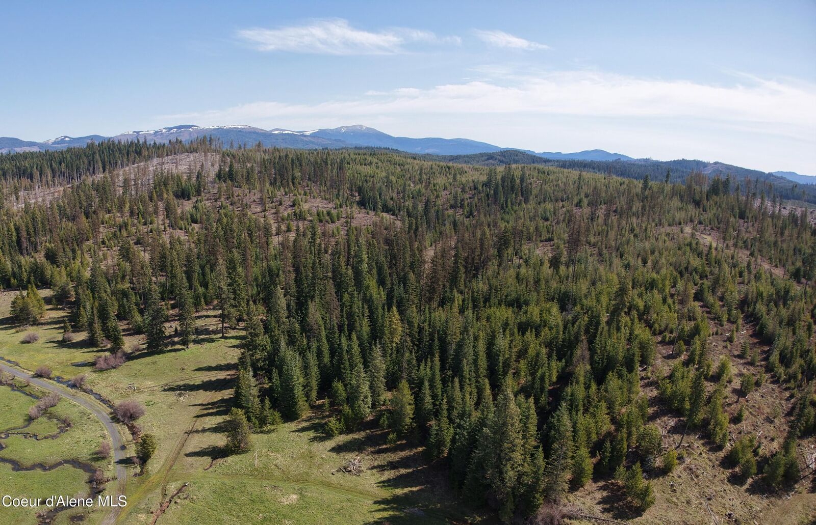 Property Photo:  Nka Park Road 100 Acres  ID 83827 