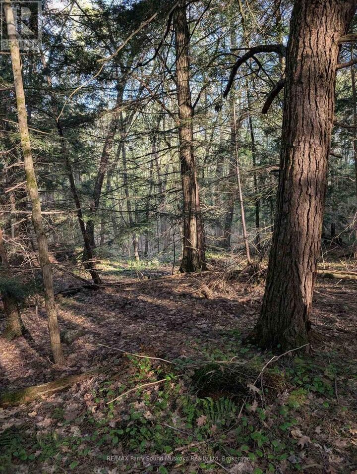 Property Photo:  0 Sugar Lake Road  ON P2A 2W9 
