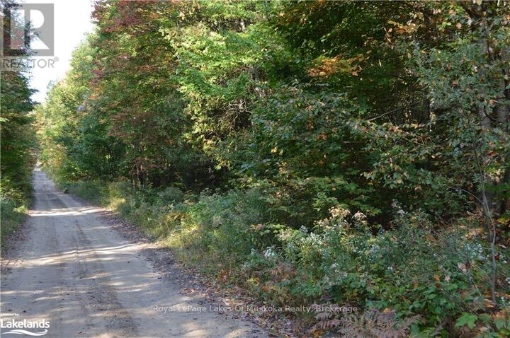Lot 20 Concession 5 Road — photo 1