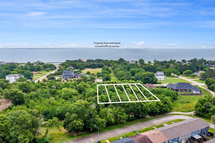 Property Photo:  0 Park Drive  TX 77571 